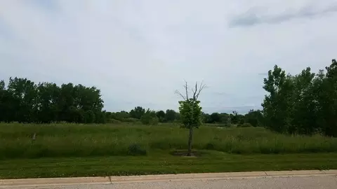 19998 W Old Meadow Trl, Long Grove, IL 60047