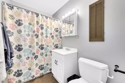 1520 Elm St, Wheaton, IL 60189 photo 25