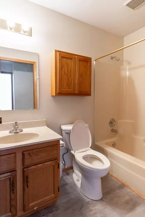 1335 Elder Dr, Aurora, IL 60506 photo 15