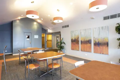 40 E 9th St #1605, Chicago, IL 60605 photo 21