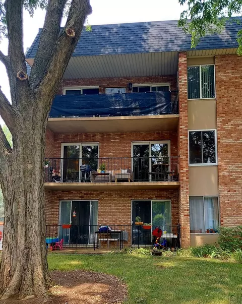 520 Burning Tree Ln #205, Naperville, IL 60563 photo 2
