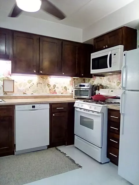 520 Burning Tree Ln #205, Naperville, IL 60563 photo 7