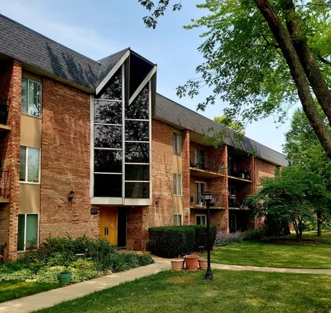 520 Burning Tree Ln #205, Naperville, IL 60563