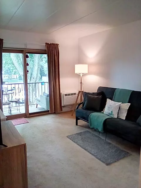 520 Burning Tree Ln #205, Naperville, IL 60563 photo 19