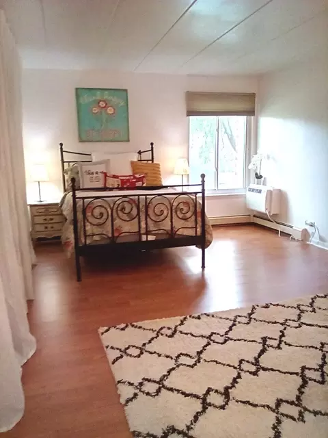 520 Burning Tree Ln #205, Naperville, IL 60563 photo 17