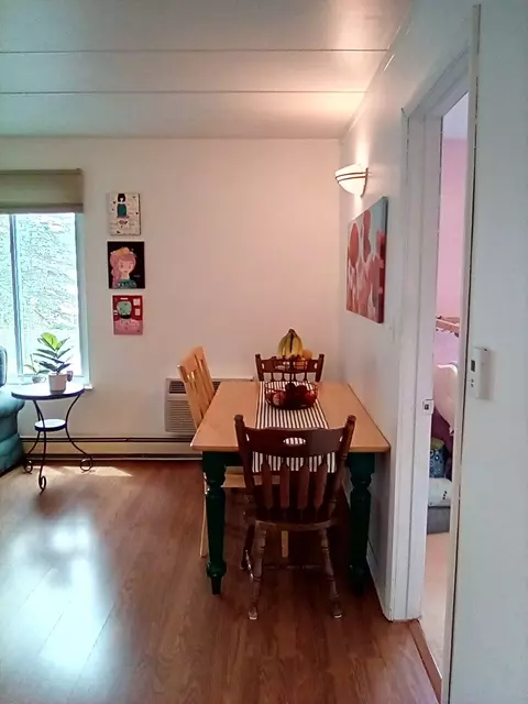 520 Burning Tree Ln #205, Naperville, IL 60563 photo 14