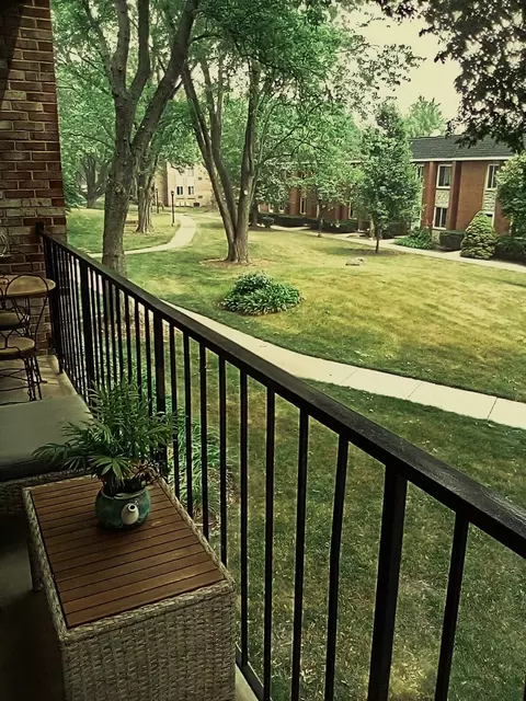 520 Burning Tree Ln #205, Naperville, IL 60563 photo 24