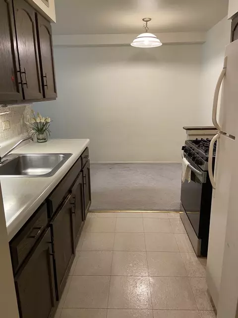 1500 Robin Cir #104, Hoffman Estates, IL 60169 photo 9