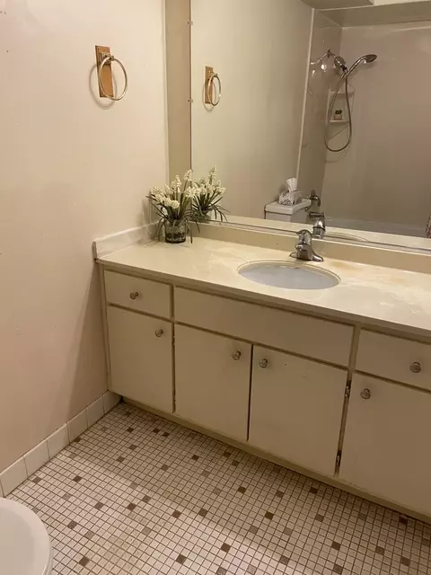 1500 Robin Cir #104, Hoffman Estates, IL 60169 photo 19