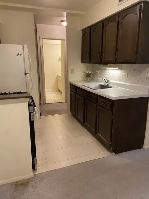 1500 Robin Cir #104, Hoffman Estates, IL 60169 photo 10