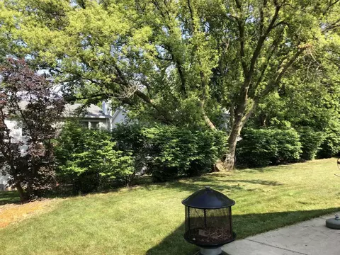 1031 John Dr, Hoffman Estates, IL 60169 photo 23