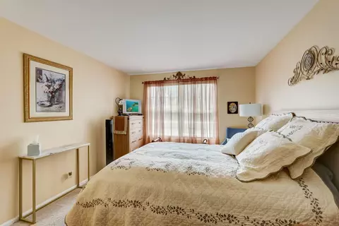 1463 Garnet Cir, Hoffman Estates, IL 60192 photo 17