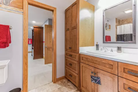 4527 Corktree Rd, Naperville, IL 60564 photo 29