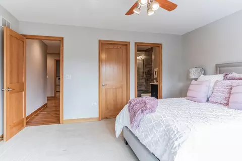 4527 Corktree Rd, Naperville, IL 60564 photo 36