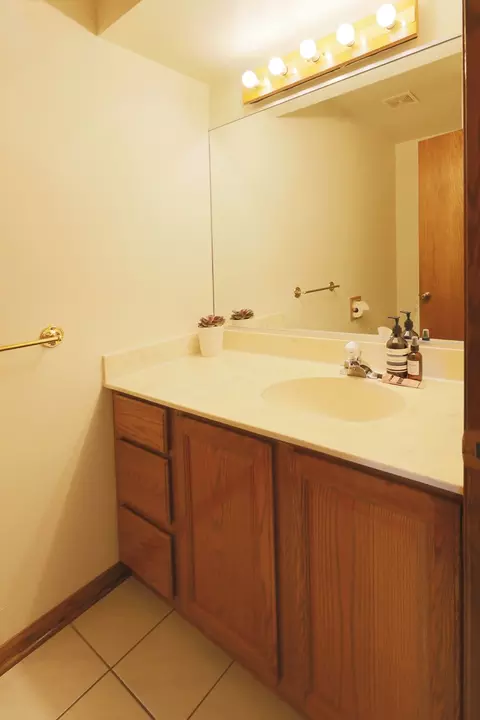 1975 Brookside Ln, Hoffman Estates, IL 60195 photo 11