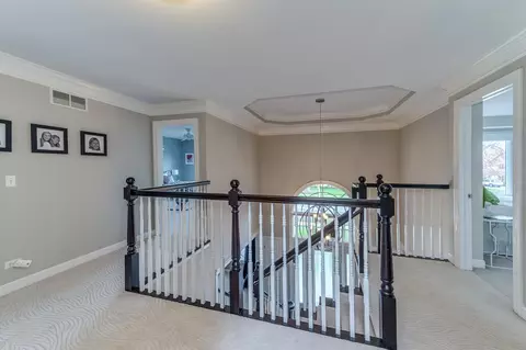 31 Oak Bluff Ct, Naperville, IL 60565 photo 19