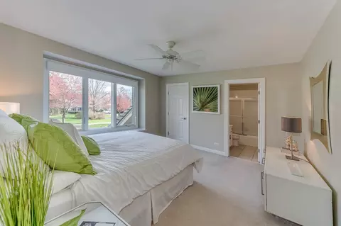 31 Oak Bluff Ct, Naperville, IL 60565 photo 24