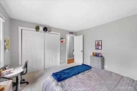 3205 Ramsgate Ln, Johnsburg, IL 60051 photo 21