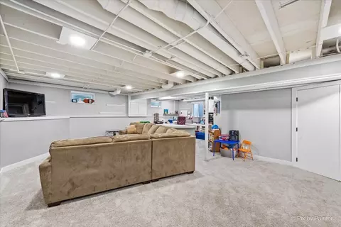 3205 Ramsgate Ln, Johnsburg, IL 60051 photo 24