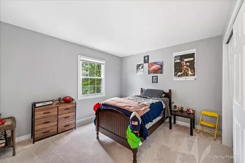 3205 Ramsgate Ln, Johnsburg, IL 60051 photo 22