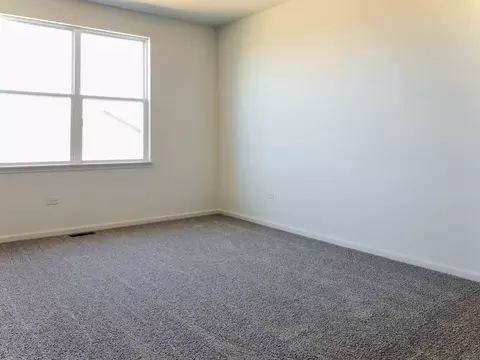 961 Savannah Ln, Algonquin, IL 60102 photo 13