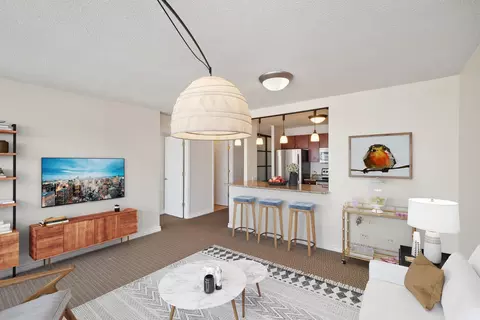 30 E Huron St #4405, Chicago, IL 60611 photo 5