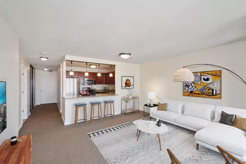 30 E Huron St #4405, Chicago, IL 60611 photo 4