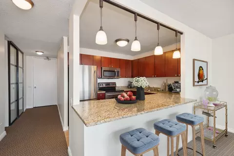 30 E Huron St #4405, Chicago, IL 60611 photo 7
