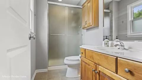 194 E May St, Elmhurst, IL 60126 photo 20
