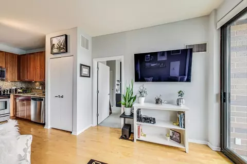 1 E 8th St #702, Chicago, IL 60605 photo 6