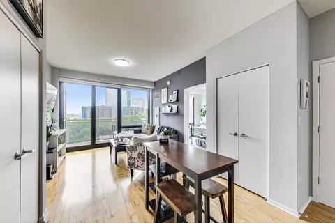 1 E 8th St #702, Chicago, IL 60605 photo 10