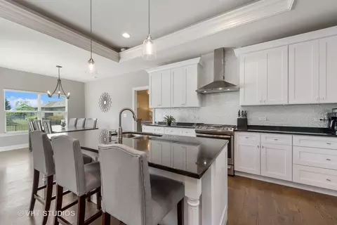 3637 Fewflower Ct, Elgin, IL 60124 photo 9