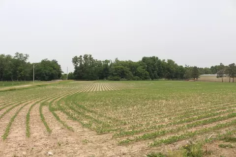 5400 Paintball Rd, Clinton, IL 61727