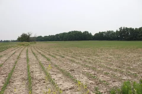 5394 Paintball Rd, Clinton, IL 61727