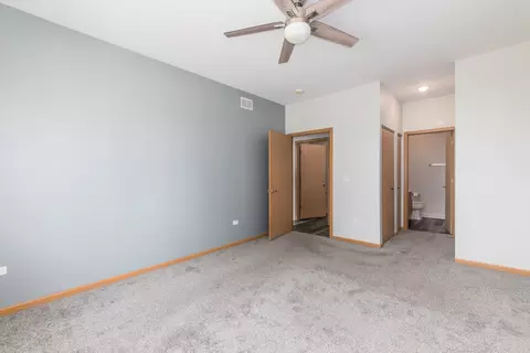 21440 W Douglas Ln, Plainfield, IL 60544 photo 15
