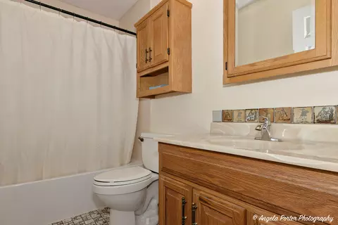 300 E Country Dr, Bartlett, IL 60103 photo 13