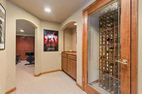 655 Red Maple Ln, Roselle, IL 60172 photo 25