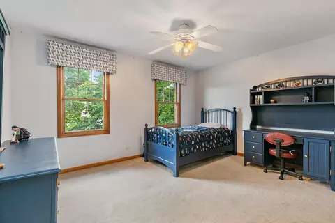 655 Red Maple Ln, Roselle, IL 60172 photo 23
