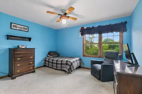 655 Red Maple Ln, Roselle, IL 60172 photo 21