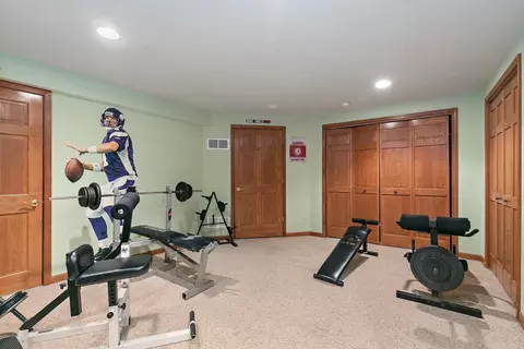 655 Red Maple Ln, Roselle, IL 60172 photo 24