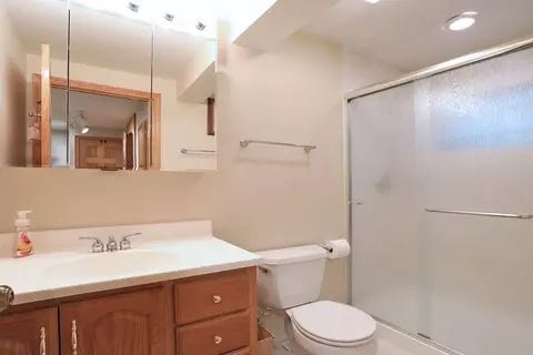 4335 Lombardy Ln, Hoffman Estates, IL 60192 photo 31