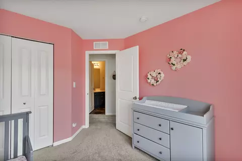 1794 Ruby Dr, Pingree Grove, IL 60140 photo 24