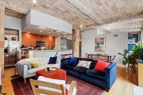 120 E Cullerton St #202, Chicago, IL 60616 photo 5