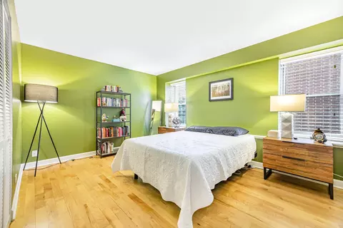 40 E 9th St #1606, Chicago, IL 60605 photo 5