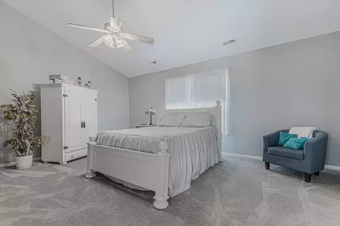 14 Walbridge Ct, Algonquin, IL 60102 photo 18