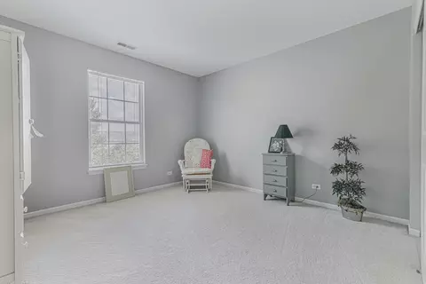 14 Walbridge Ct, Algonquin, IL 60102 photo 15