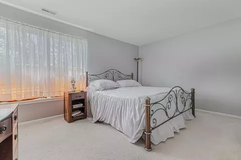 14 Walbridge Ct, Algonquin, IL 60102 photo 16