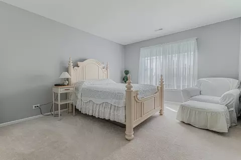 14 Walbridge Ct, Algonquin, IL 60102 photo 17