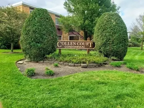 1313 S Rebecca Rd #218, Lombard, IL 60148