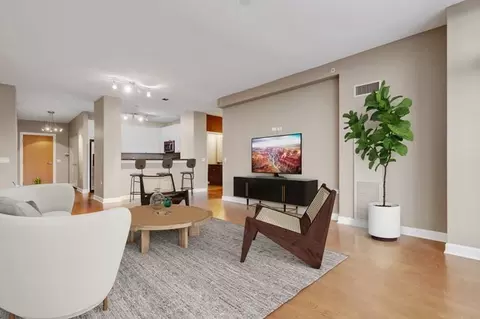 100 E 14th St #1302, Chicago, IL 60605 photo 3